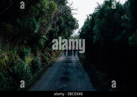 Group of hikers walking down a dark, misty forest road surrounded by lush green trees Stock Photo