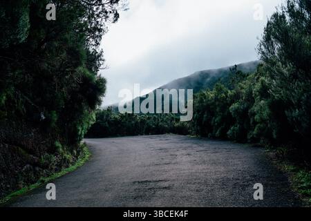 Winding mountain road through lush green forest with misty clouds overhead Stock Photo