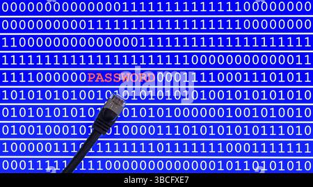 Screen shot with binary code with password text and network cable Stock Photo