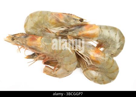 raw shrimp isolated on a white background Stock Photo