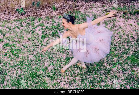 Ballet dancer in a tutu gracefully poses on a field of pink flowers. WA, USA Stock Photo