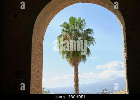 A tall palm tree framed by an ancient stone archway with a clear blue sky in the background. Sicily, Italy Stock Photo
