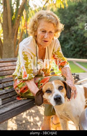 Elderly woman sitting on a park bench, gently petting her mixed breed dog while enjoying a tranquil moment outdoors, surrounded by sunlight filtering Stock Photo
