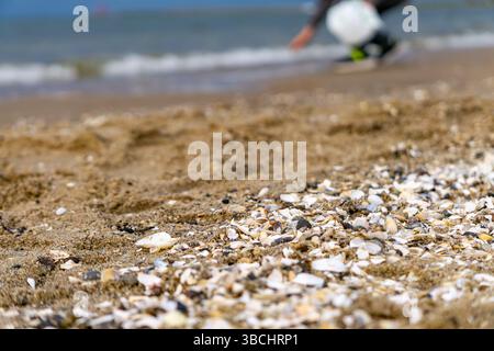 Close-up of sand and seashells on the beach, with a blurred figure in the background bending down to collect shells near the shoreline. A calm, summer Stock Photo