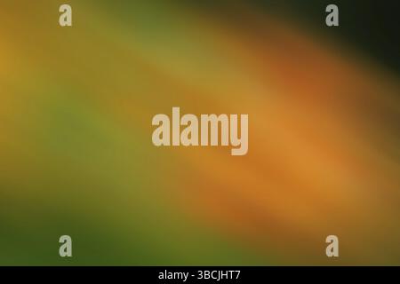 Abstract blurred background, blurred background effect Stock Photo