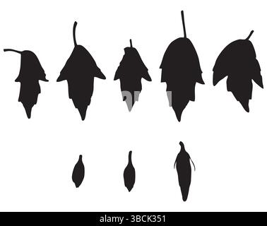 Silhouette Set of Hanging Bellflowers and Buds on White Background Stock Vector