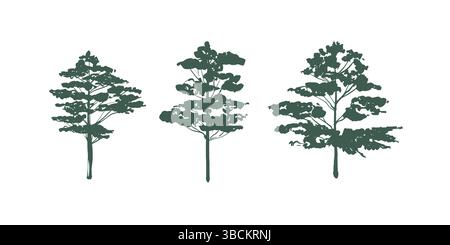 Set of Vector Tree illustrations in Green Color. Sketch of a pine tree. Trees silhouettes. Forest silhouettes. Pine trees line art. Sketch style Stock Vector