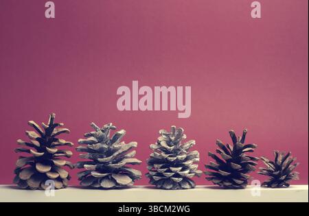 Five pine cones on a white wooden board with red background, seasonal or Christmas background with space for text Stock Photo