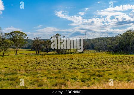 Picturesque rural landscape bathed in the late afternoon light on a summer's day in the Monaro Region, NSW, Australia Stock Photo
