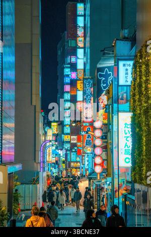 High-resolution photo capturing the bustling nightlife of Shinjuku, Tokyo, Japan. The image features glowing neon signs, busy streets, and the dynamic Stock Photo