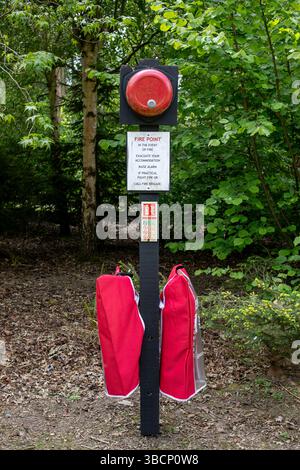 A fire point in a forest campsite Stock Photo