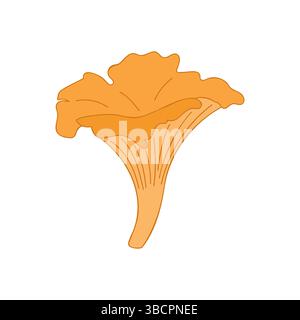 Chanterelle mushroom realistic flat style, source of vitamins B, D, PP. Isolated on white background. Vector illustration Stock Vector