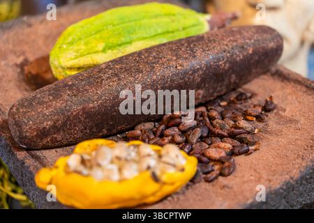 Cocoa Beans and Cocoa fruit in Mijas, Malaga, Spain Stock Photo