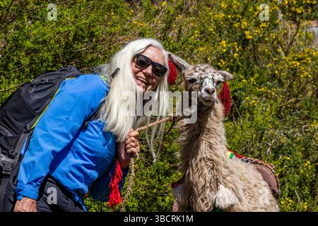 Portrait of smiling woman posing with llama Stock Photo