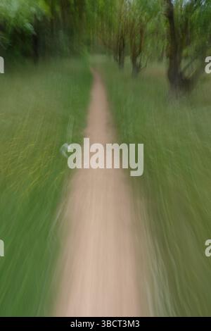 Path through grass and forest trees. Motion blur abstract landscape. Stock Photo