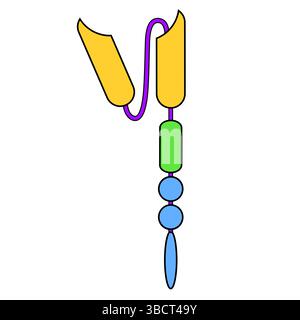 Chimeric antigen receptor T cell. Symbol of CAR-T-cell. Sign of an immunoglobulin. Genetically engineered.  Personalized medicine. Vector illustration Stock Vector