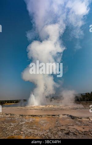 Geysers spew boiling water and steam into the air. Stock Photo