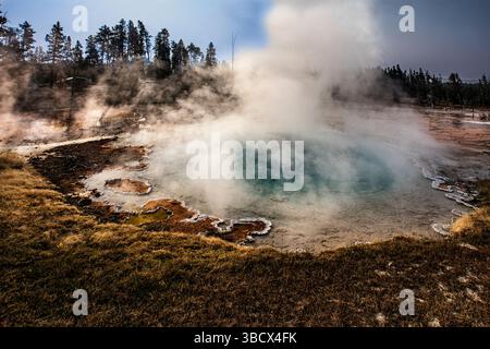 Geysers spew boiling water and steam into the air. Stock Photo