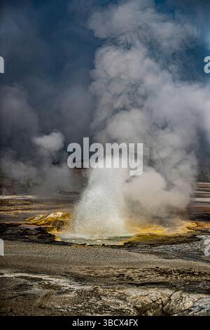 Geysers spew boiling water and steam into the air. Stock Photo