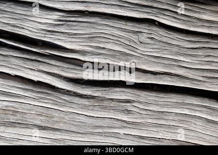 Weathered wood close-up textured abstract background Stock Photo