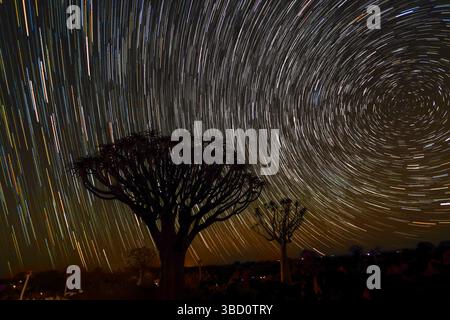 Colorful star trails over the quiver trees in Quivertree Forest, Keetmanshoop,  Namibia. Stock Photo