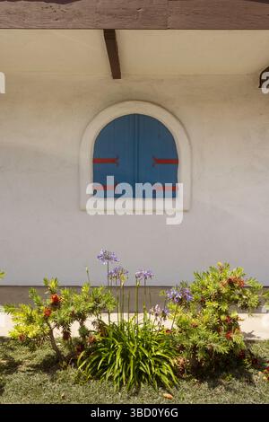 Blue boarded window on a wall Stock Photo