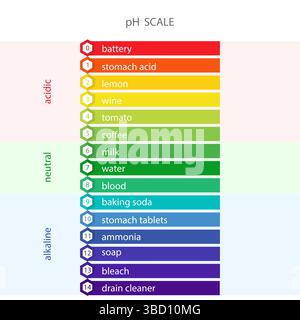 PH value Scale chart. Liquid level, litmus color change. Ph food analysis or chemical test. Vector illustration in flat style Stock Vector