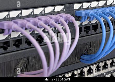 Data center, network panel, switch and connected multi-colored cables. Close up shot, selective focus, networking technologies background. Stock Photo