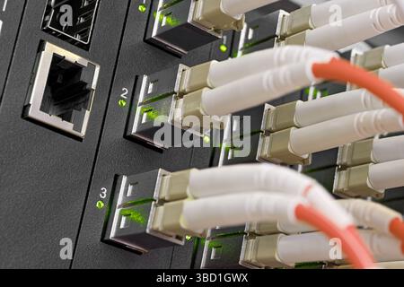 Data center, network panel, switch and connected multi-colored cables. Close up shot, selective focus, networking technologies background. Stock Photo