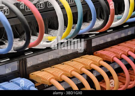 Data center, network panel, switch and connected multi-colored cables. Close up shot, selective focus, networking technologies background. Stock Photo