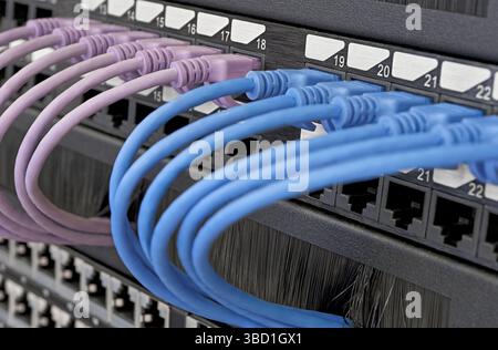 Data center, network panel, switch and connected multi-colored cables. Close up shot, selective focus, networking technologies background. Stock Photo