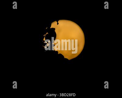 Orange Full Moon Silhouetted by Tree Branches Against a Dark Night Sky Stock Photo