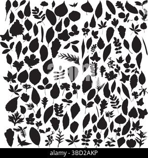 a diverse range of plant and leaf designs, perfect for botanical-themed projects. The refined details and organic aesthetics make it ideal. Stock Vector