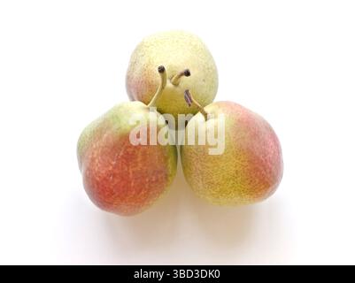 Three green and red apples are sitting on a white background. The apples are ripe and ready to eat Stock Photo