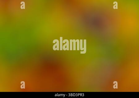 Swirling patterns of green, orange, and brown create a warm, abstract background, evoking a lively atmosphere reminiscent of a lush forest in autumn. Stock Photo