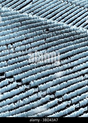 Italy, Pedemonte, Langhe. Vineyards in the Barolo area Stock Photo