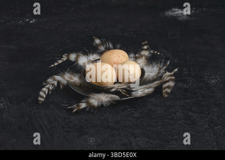 Three guinea fowl eggs in metal bowl Stock Photo