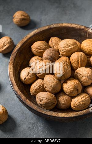Organic Raw Walnuts in the Shell Ready to Eat Stock Photo