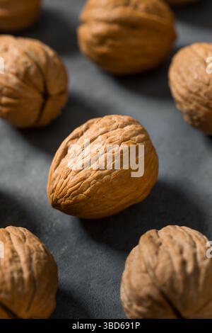 Organic Raw Walnuts in the Shell Ready to Eat Stock Photo