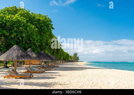 Long row of beach loungers and palm-leaf parasols on sandy shoreline Stock Photo