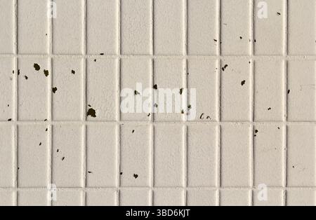 White tiled surface with peeling paint abstract textured background Stock Photo