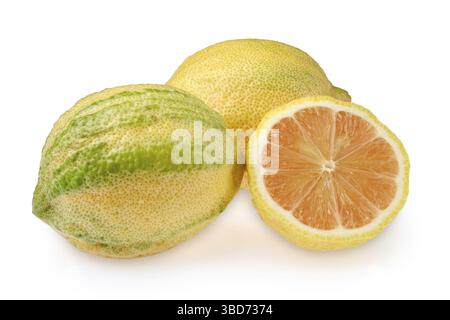 Two whole variegated pink lemons and one sliced in half isolated in white background. The lemons feature a textured skin and varied green and yellow h Stock Photo