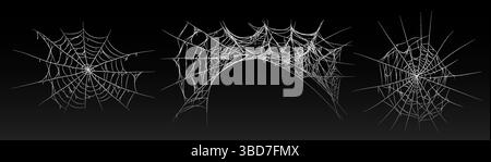 Halloween old spooky cobweb with various sizes and shapes. Stock Vector