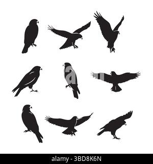 Silhouette set of hawk on white background Stock Vector