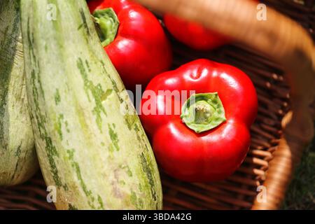 Fresh vegetables in basket. Red pepper and zucchini close-up. Healthy organic food. Rustic kitchen harvest scene. Natural summer produce. Stock Photo