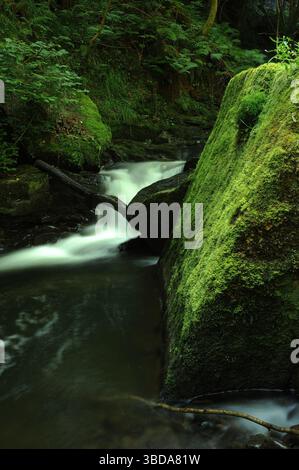 Melincourt Brook just below Melincourt Falls. Stock Photo