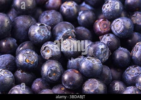 Closeup of fresh blueberries, fruit background and texture Stock Photo