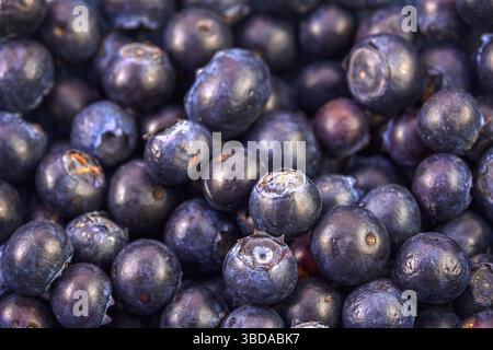 Closeup of fresh blueberries, fruit background and texture Stock Photo