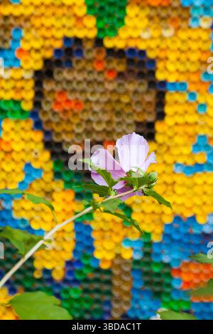 Plastic bottle caps are laid out in a pattern with flowers and a live flower in the foreground. Stock Photo