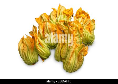 Fresh squash blossoms , zucchini blossoms isolated on white with clipping path included Stock Photo
